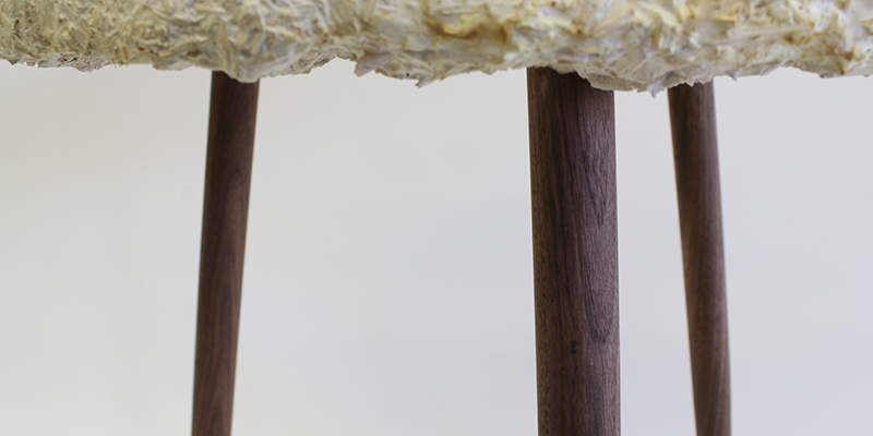 Detail shot of a mycelium stool