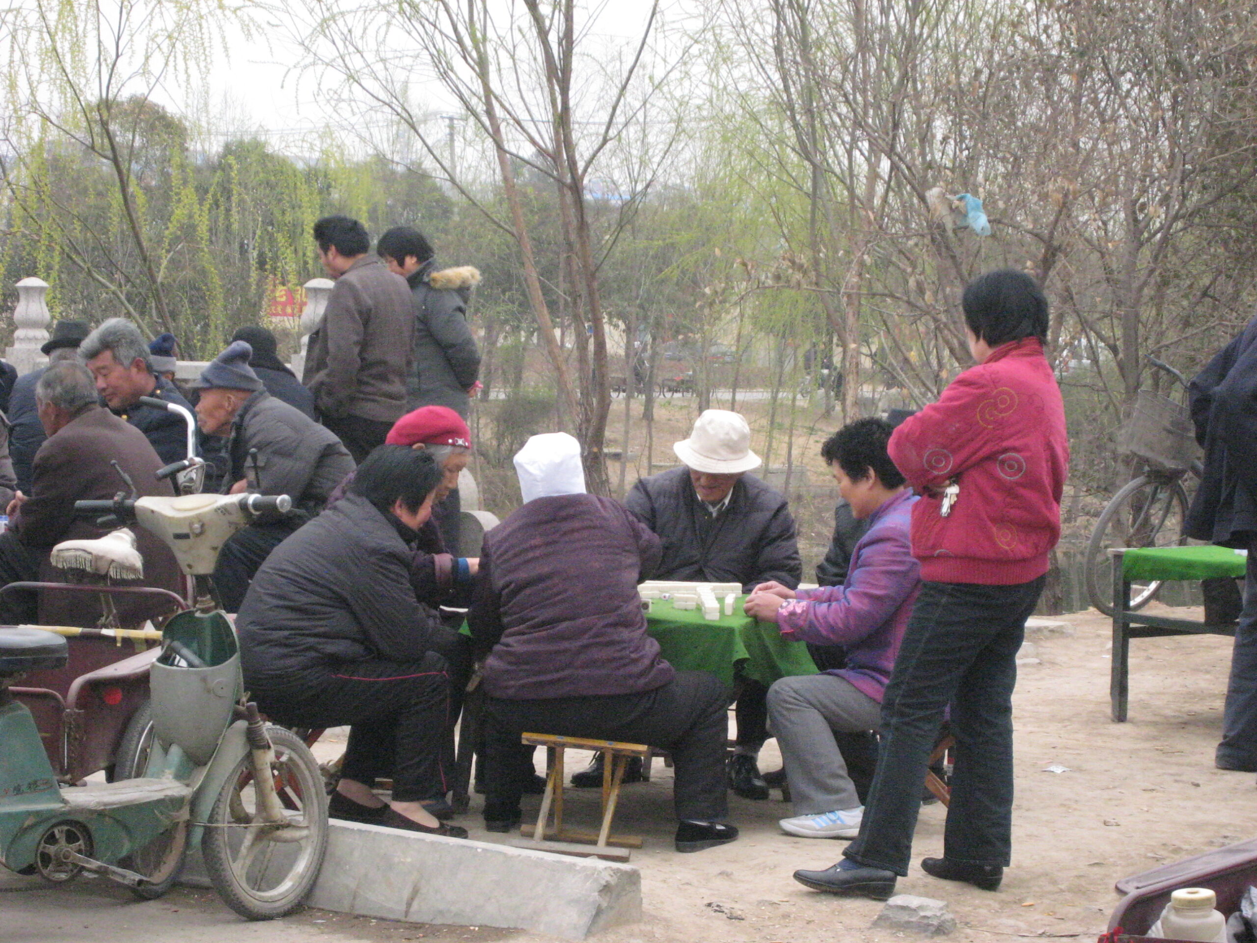 Adults gather around game at park picnic table.