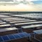 Aura Solar I Photovoltaic Plant