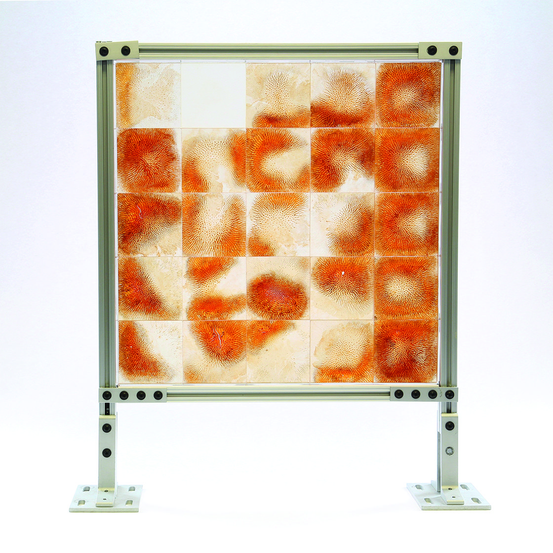 Photograph of epoxy resin tile array