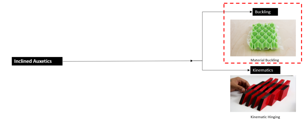 Two subcatagories of Inclined Auxetics viz. Buckling and kinematic