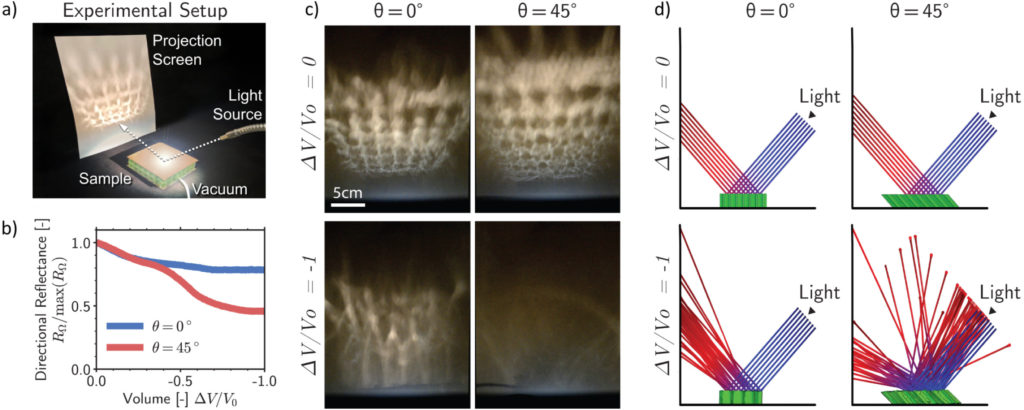 Picture showing light diffusion property of the metamaterial
