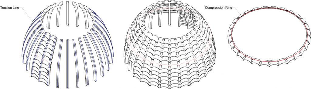 Diagram showing the structure made up of tension lines and compression rings
