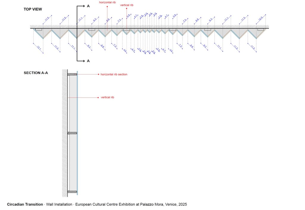 Image of the 'Circadian Transition'.