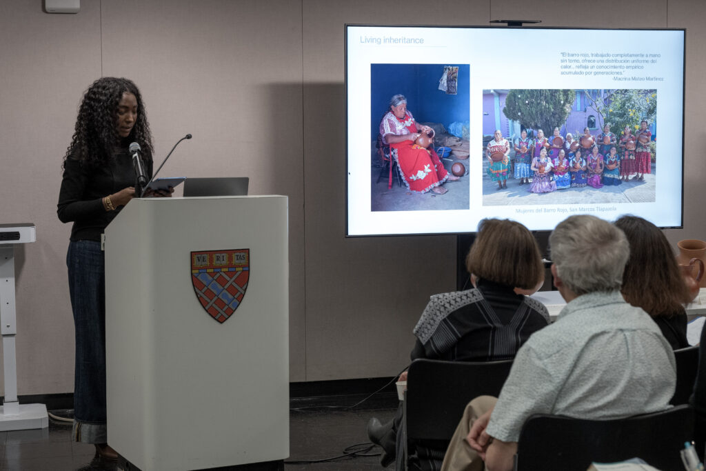 Speaker at a podium presenting a slide with photographs to a seated audience
