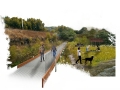 02-puente-sobre-area-verde