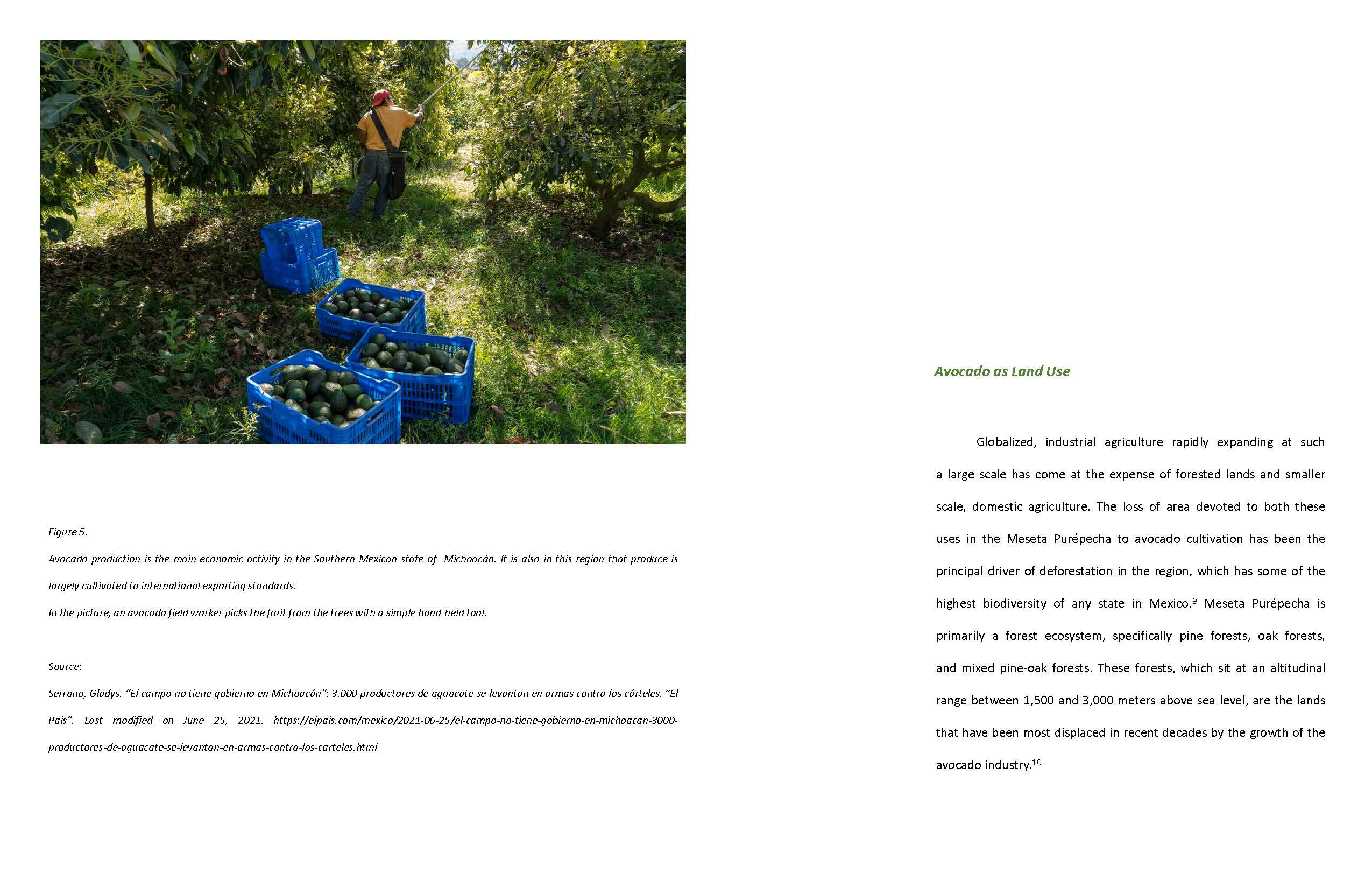 Landscape for Extraction 6 Landscape for Extraction 6