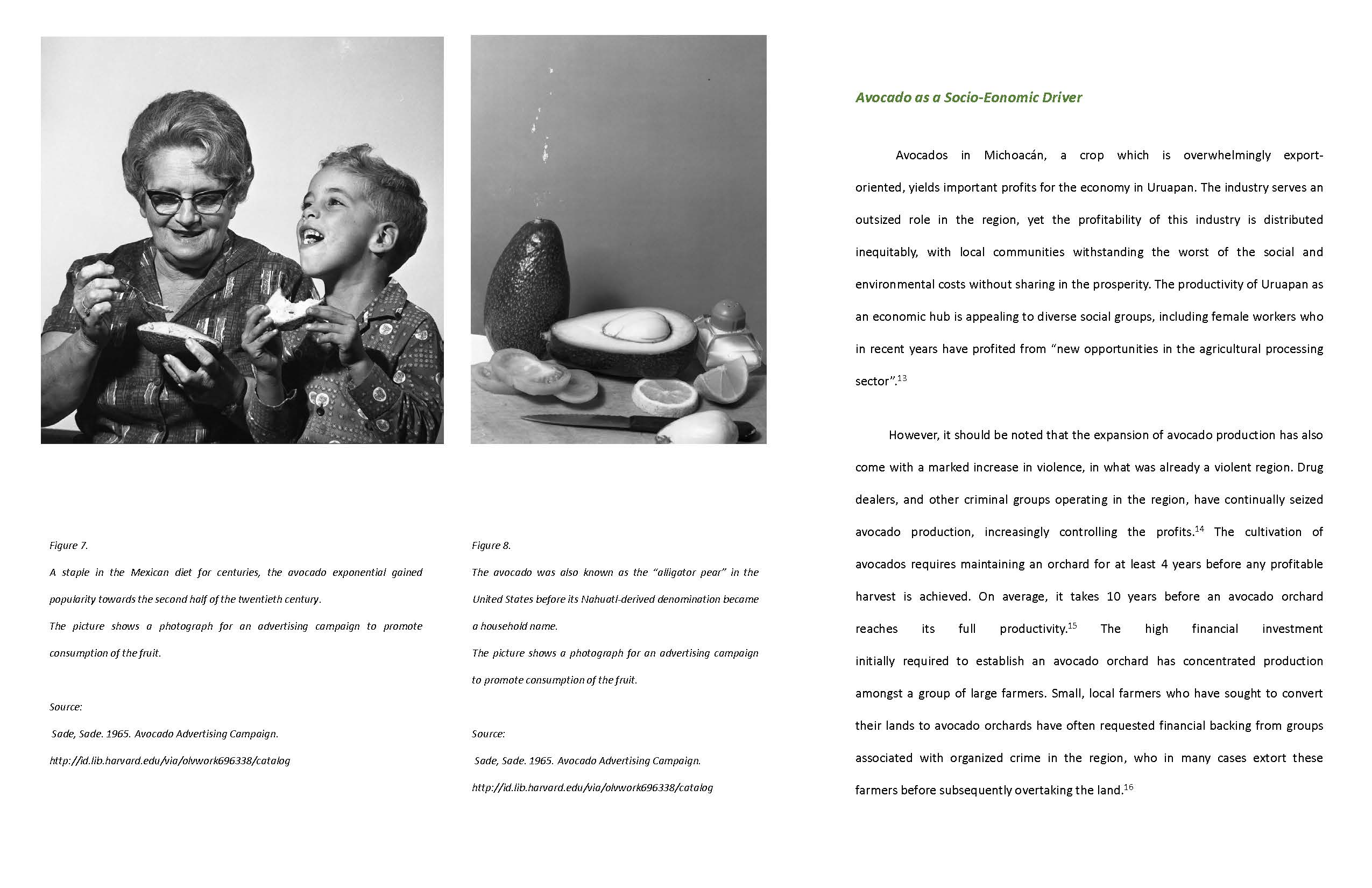 Landscape for Extraction 8 Landscape for Extraction 8