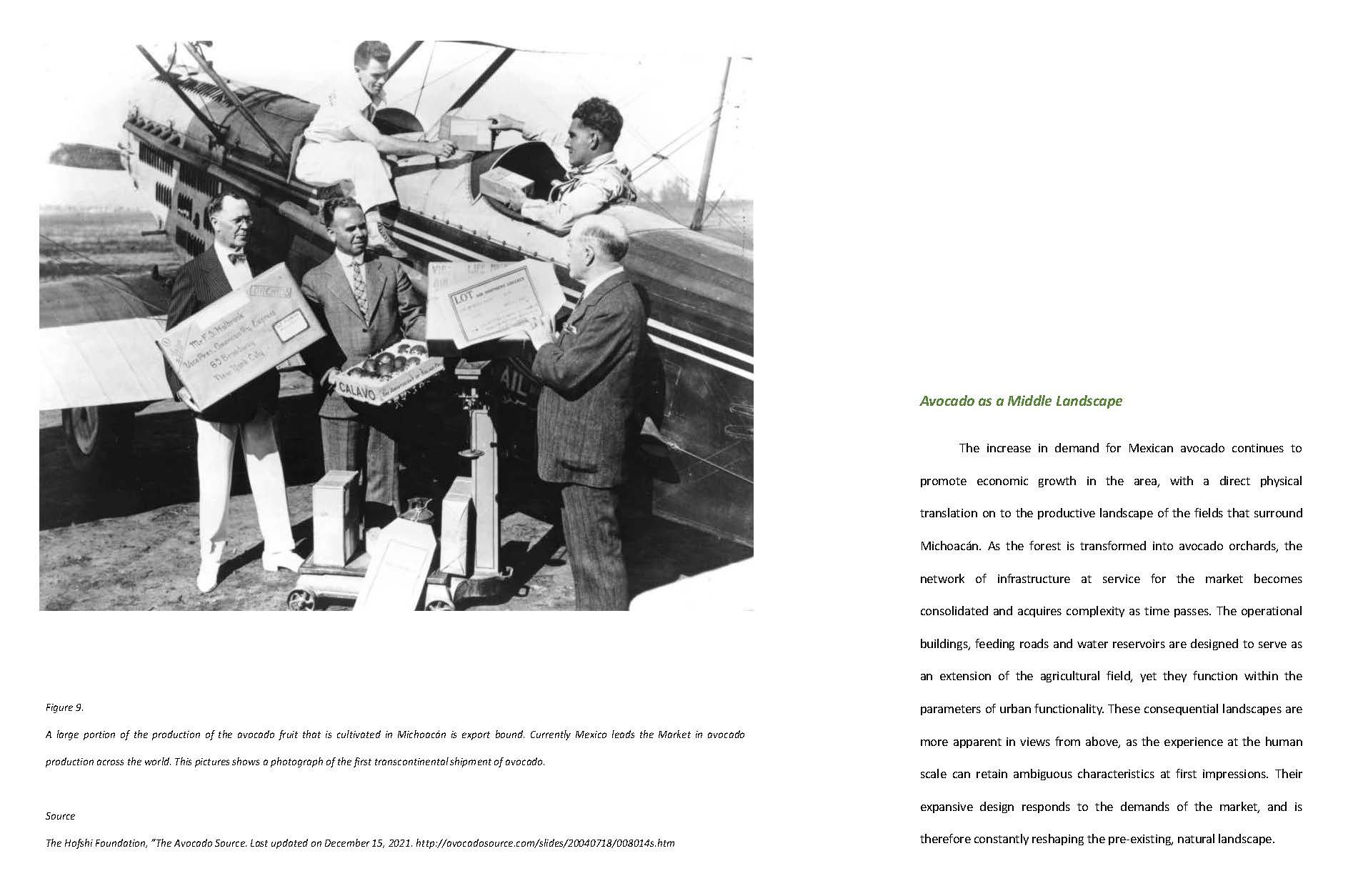 Landscape for Extraction 9 Landscape for Extraction 9