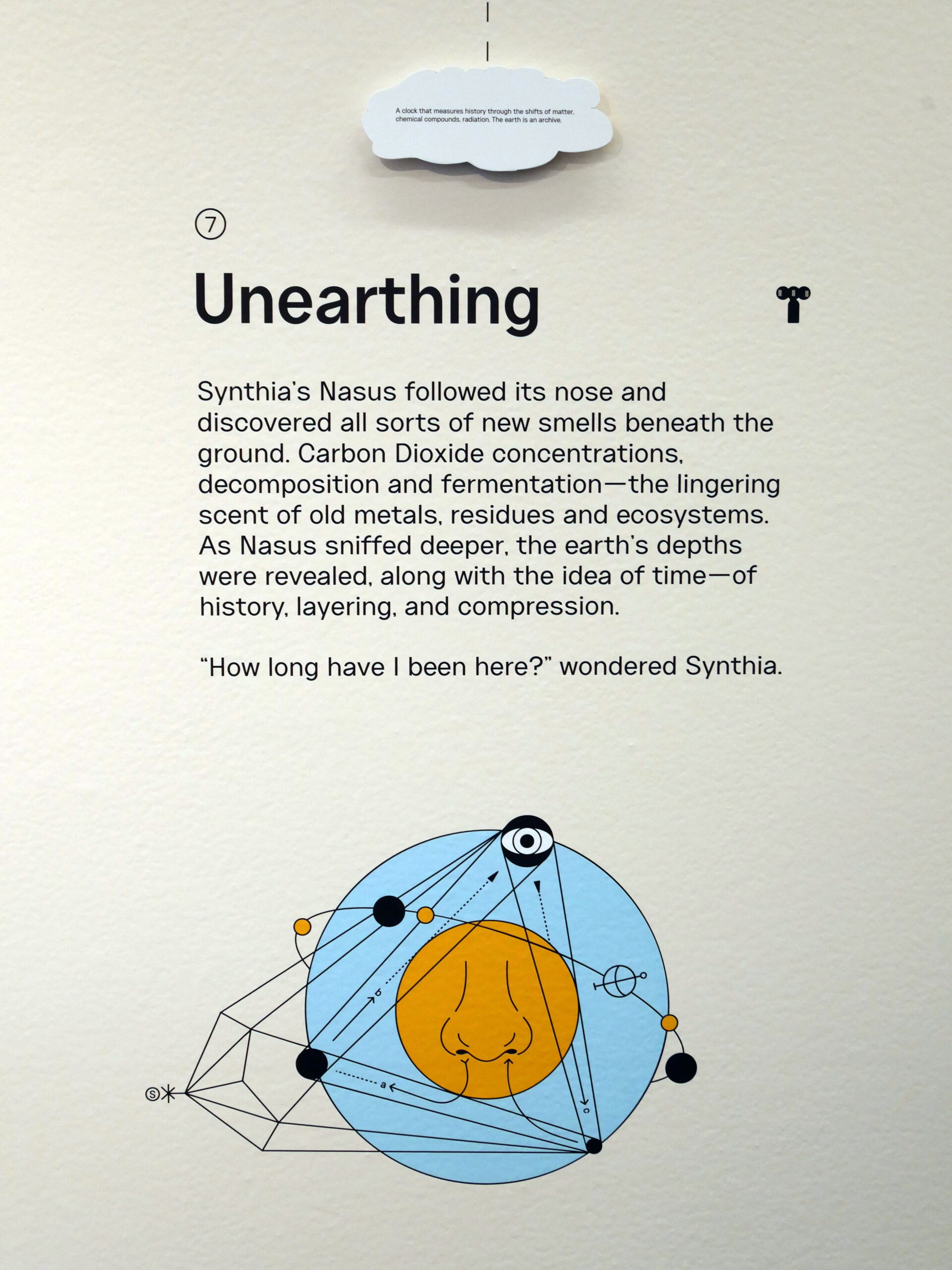 Photo of text and illustration of senses on the exhibition wall.
