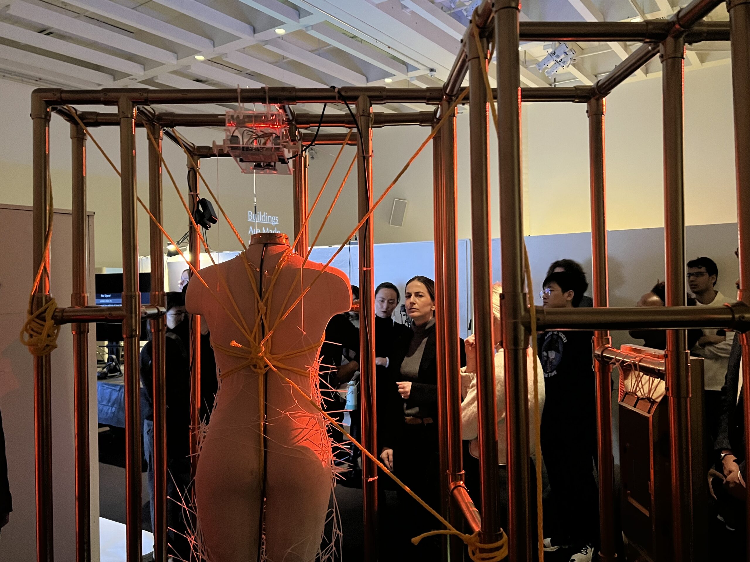 Students looking at a cage installation
