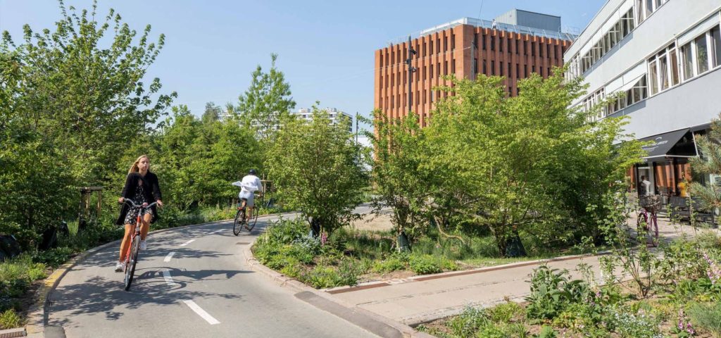 woman on bike on a bike path